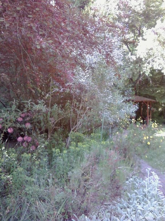 Fairview Manor Bed And Breakfast Ben Lomond Eksteriør bilde